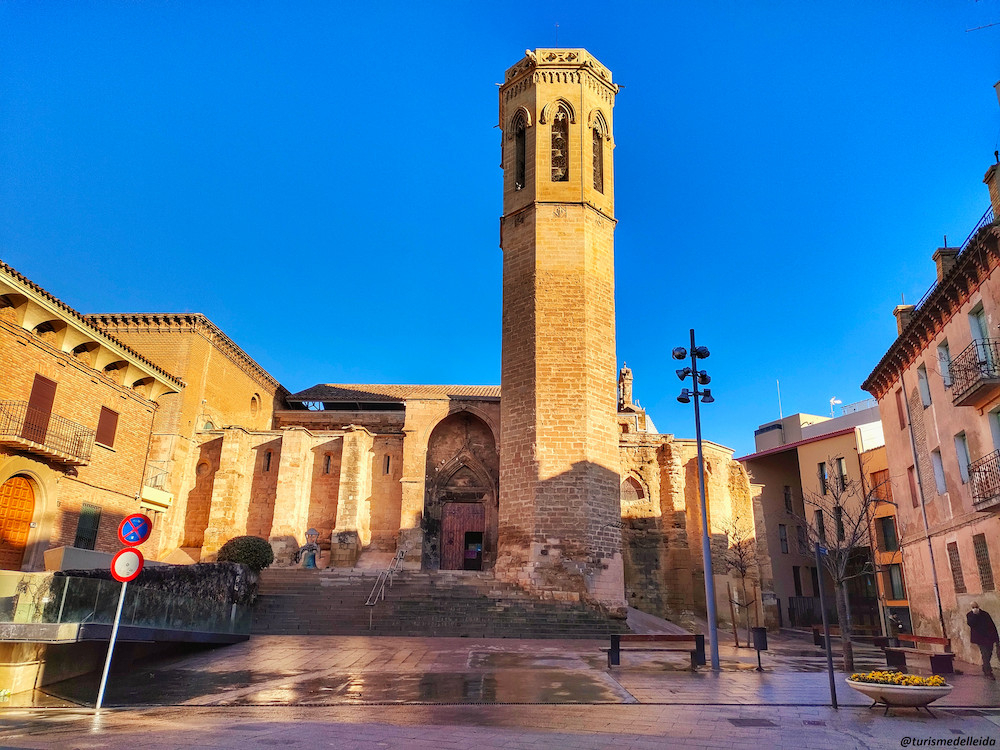 Casco Antiguo - La Seu Vella Casco Antiguo - La Seu Vella